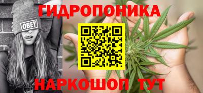 марки nbome Новозыбков