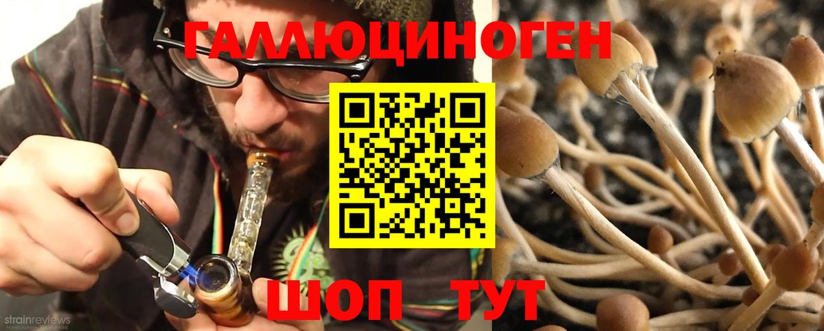 Галлюциногенные грибы Cubensis Спасск-Дальний