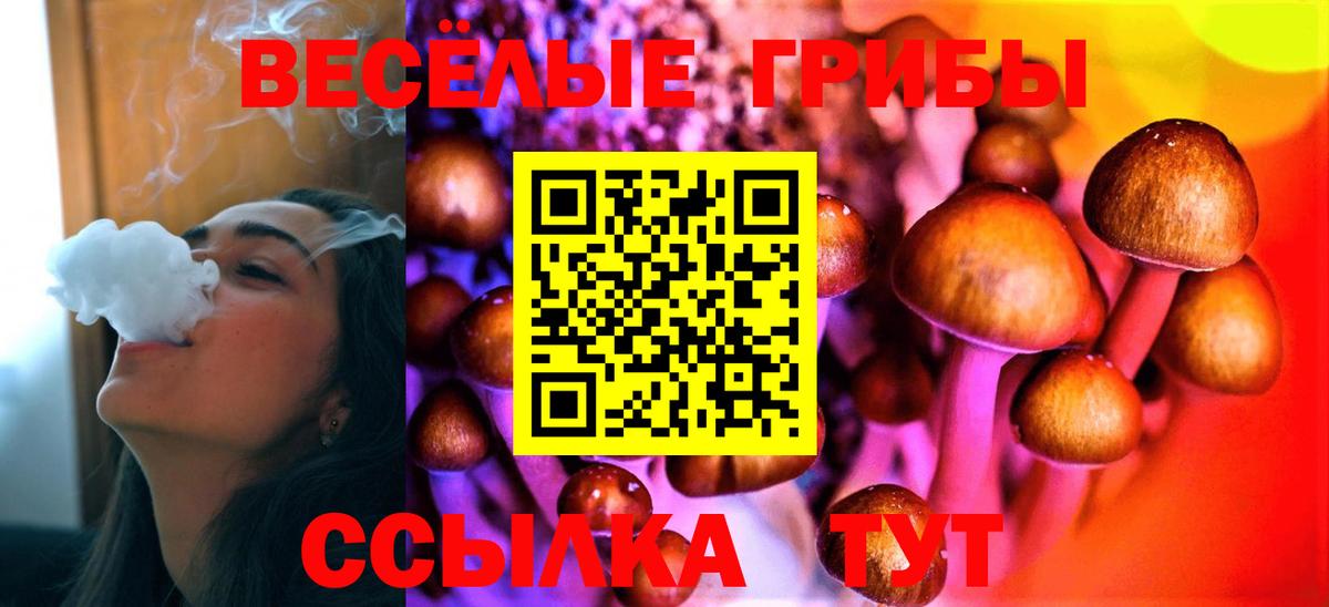 Спасск-Дальний  Псилоцибиновые грибы MAGIC MUSHROOMS  Вход с VPN 